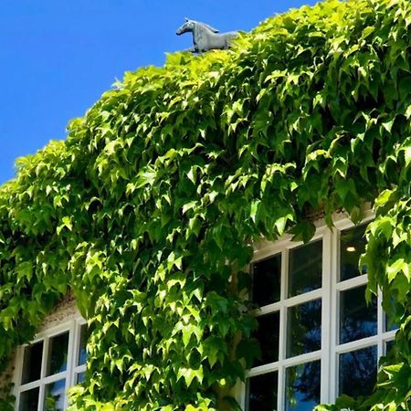 Apartment Gaestehaus Schloss Bothmer Schwarmstedt Zewnętrze zdjęcie